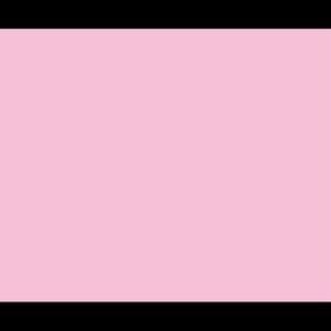 Meet your Posher, Ryanne